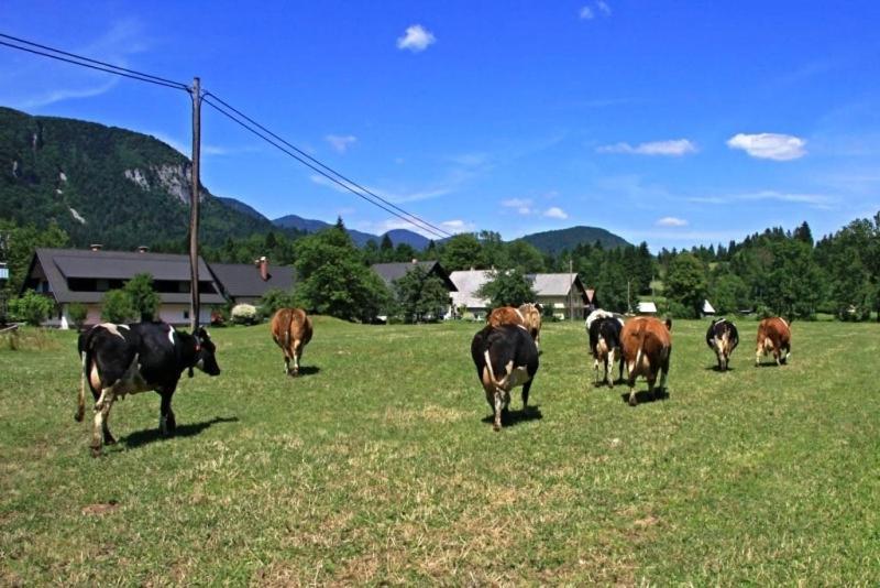Farmhouse Soklic Bohinj Exterior foto